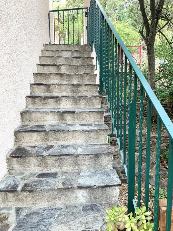 Les Chenes-Lieges D'Ambeille Lejlighed Collioure Eksteriør billede